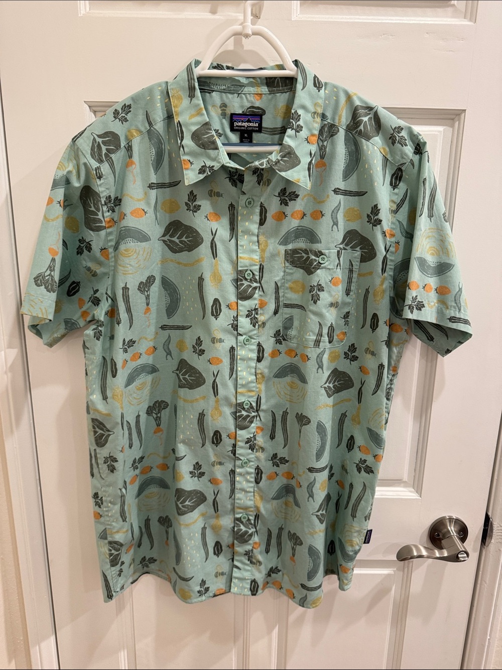 Patagonia Short-Sleeve Button-Up Shirt in Seafoam Green with Produce Pattern